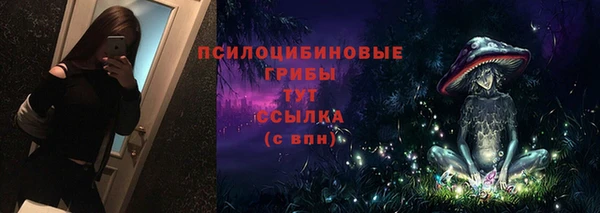 трава Нязепетровск