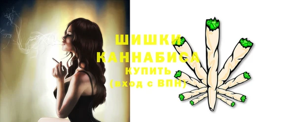 гидра Осинники