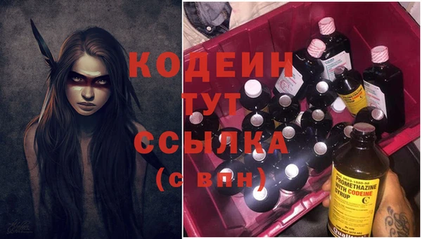 прущая мука Няндома
